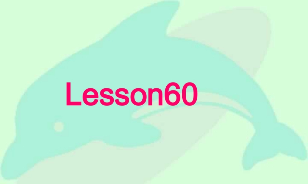 人教版初三英语Lesson60 课件