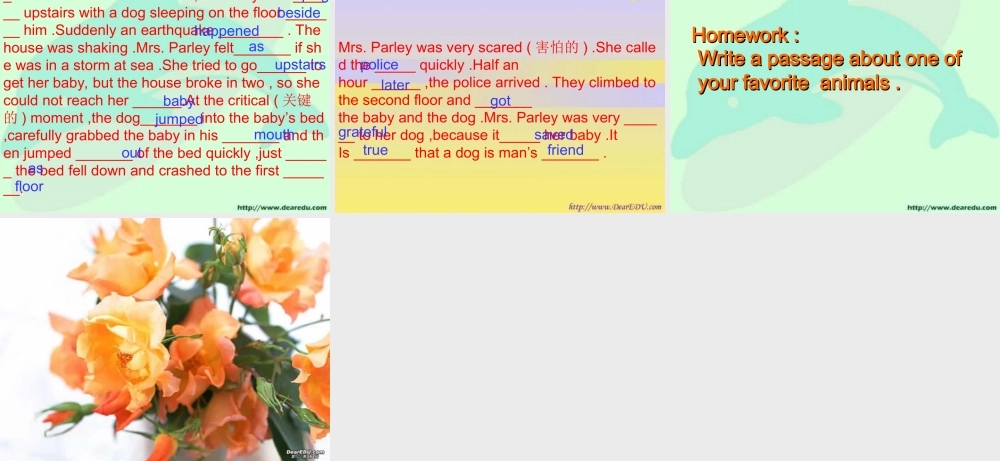 人教版初三英语Lesson60 课件
