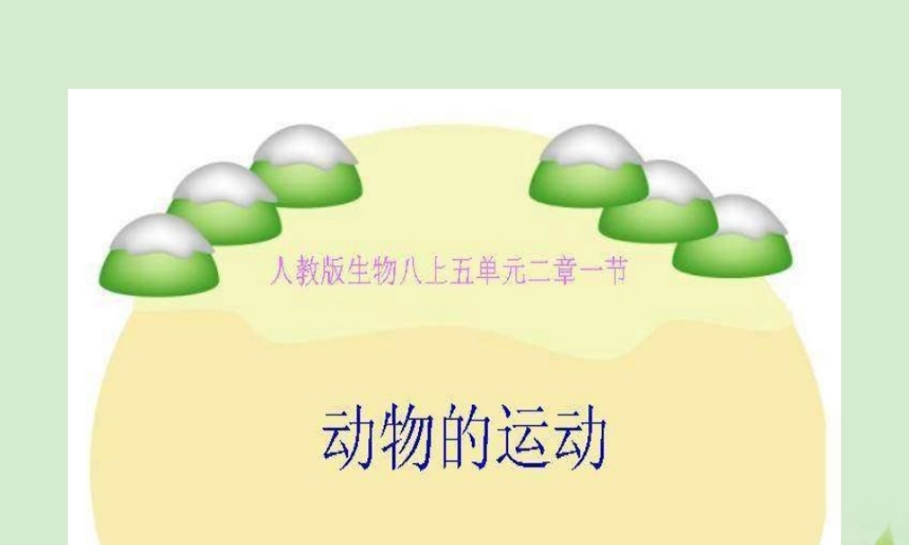 八年级生物 动物的运动课件 人教新课标版 课件