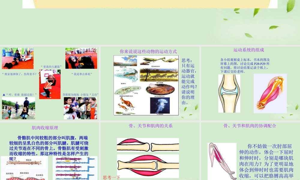 八年级生物 动物的运动课件 人教新课标版 课件