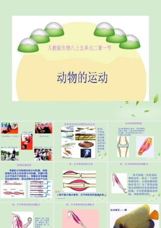 八年级生物 动物的运动课件 人教新课标版 课件