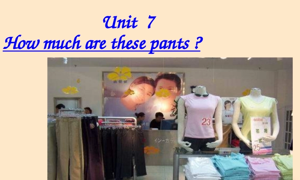 中学七年级英语 (Unit7 How much are these pants)课件2 课件