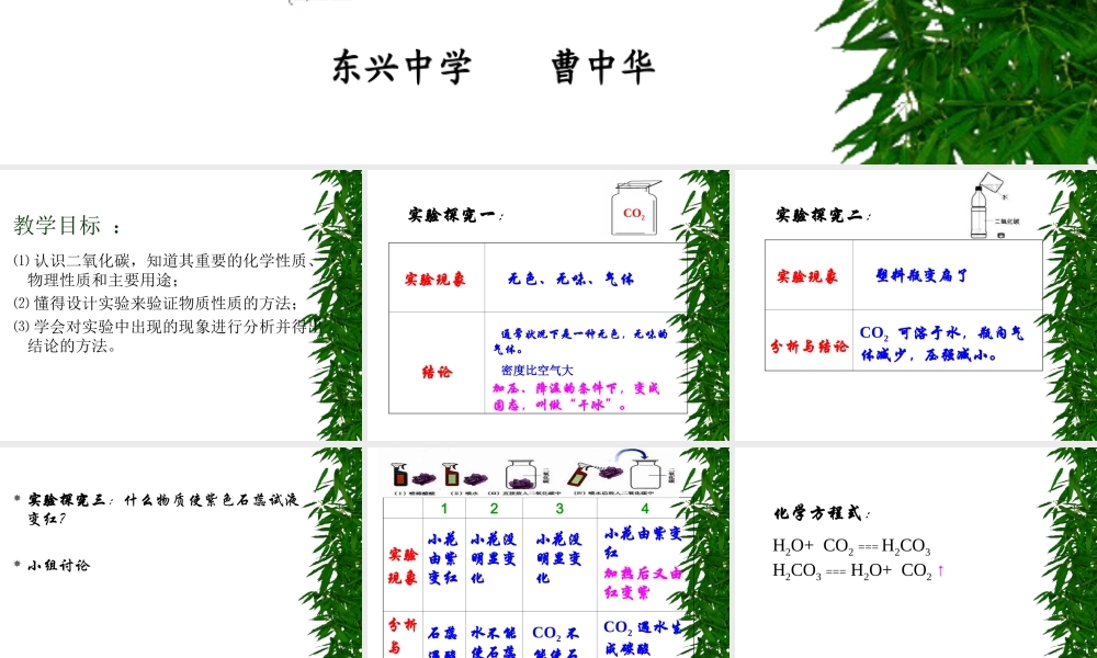 二氧化碳的性质 (3)