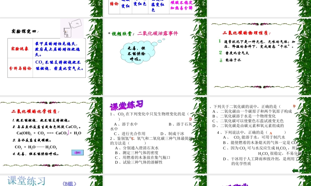 二氧化碳的性质 (3)