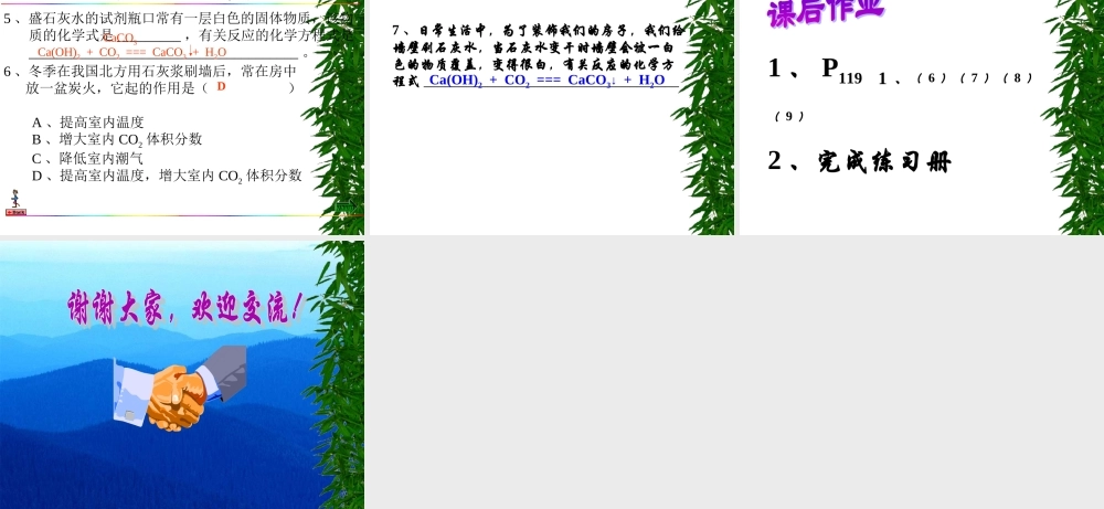 二氧化碳的性质 (3)