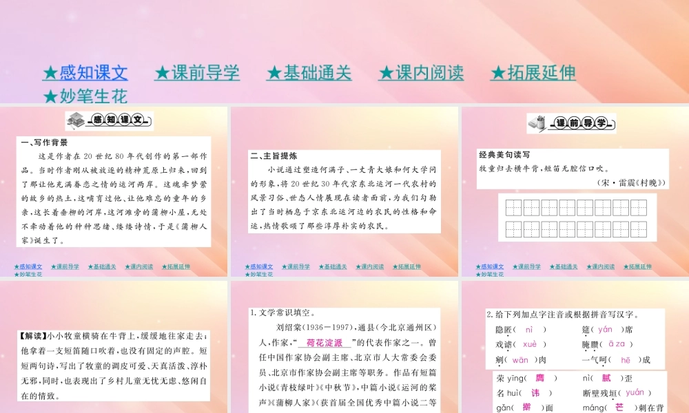 九年级语文下册 第二单元 8(蒲柳人家(节选))巩固练习课件 新人教版 课件