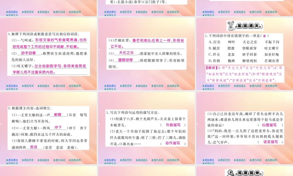 九年级语文下册 第二单元 8(蒲柳人家(节选))巩固练习课件 新人教版 课件