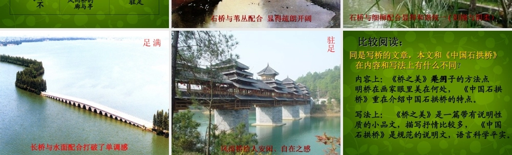 八年级语文上册 第三单元 12 桥之美课件 新人教版 课件