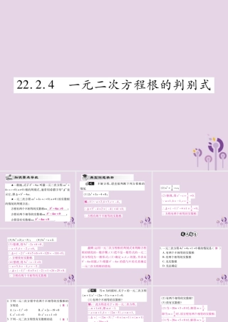 九年级数学上册 第22章 一元二次方程 222 一元二次方程的解法 2224 一元二次方程根的判别式课件 (新版)华东师大版 课件