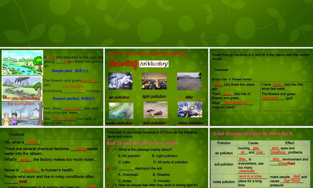 九年级英语上册 Unit 2 Topic 1 Pollution has causes too many problems Section D课件 (新版)仁爱版 课件