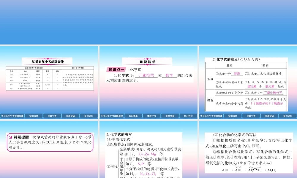中考化学总复习 第1编 教材知识梳理篇 第4单元 自然界的水 第2讲 化学式和化合价(精讲)课件