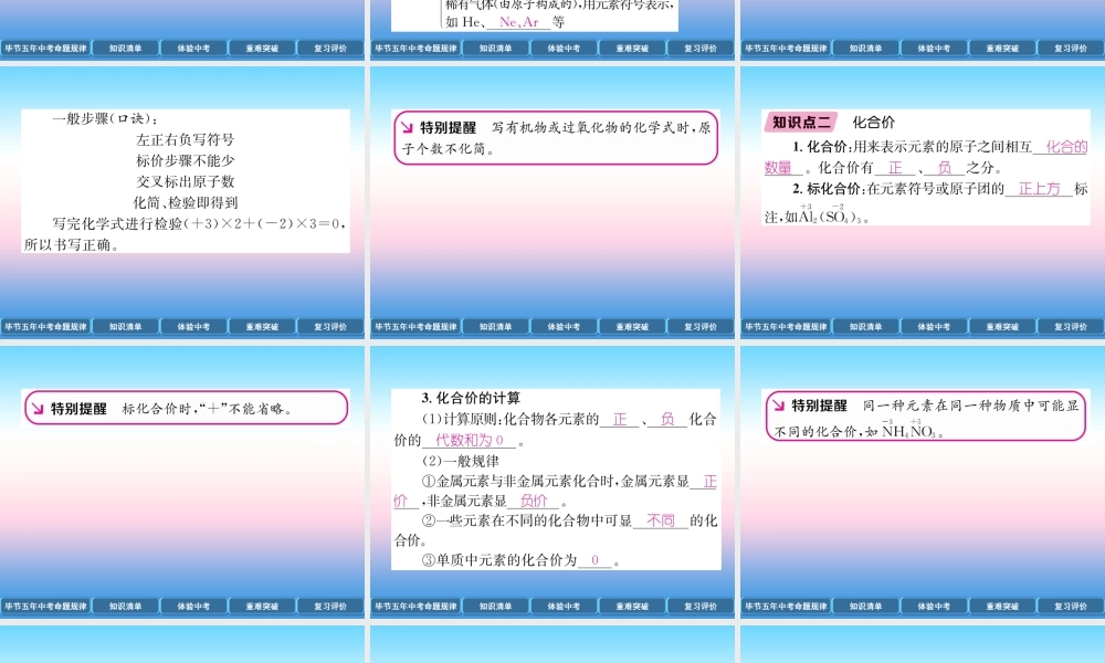 中考化学总复习 第1编 教材知识梳理篇 第4单元 自然界的水 第2讲 化学式和化合价(精讲)课件