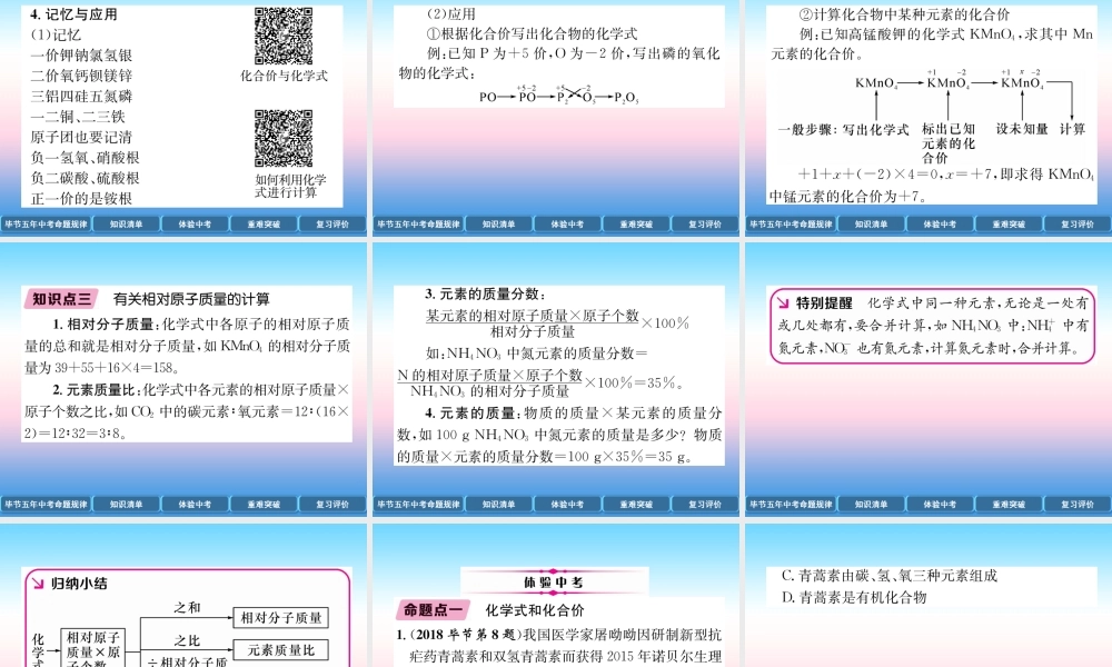 中考化学总复习 第1编 教材知识梳理篇 第4单元 自然界的水 第2讲 化学式和化合价(精讲)课件