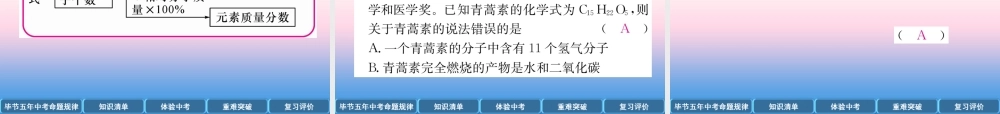 中考化学总复习 第1编 教材知识梳理篇 第4单元 自然界的水 第2讲 化学式和化合价(精讲)课件