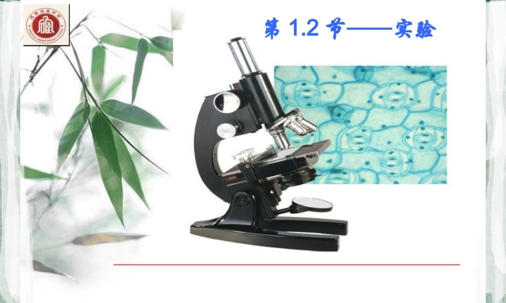 生物-课件-12-使用高倍显微镜观察几种细胞