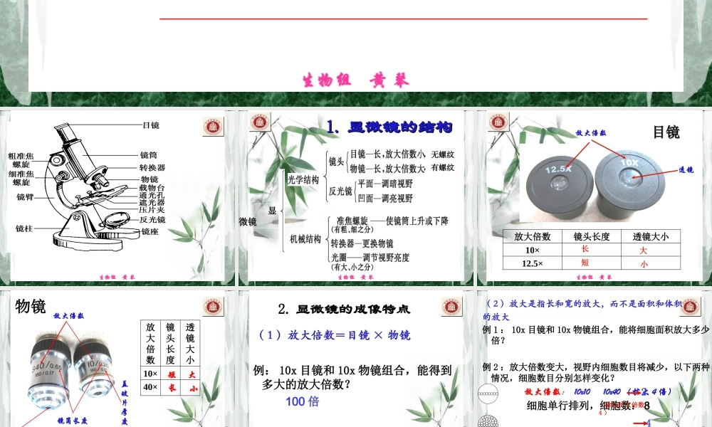 生物-课件-12-使用高倍显微镜观察几种细胞