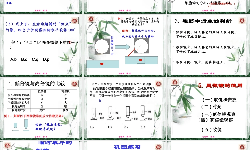 生物-课件-12-使用高倍显微镜观察几种细胞