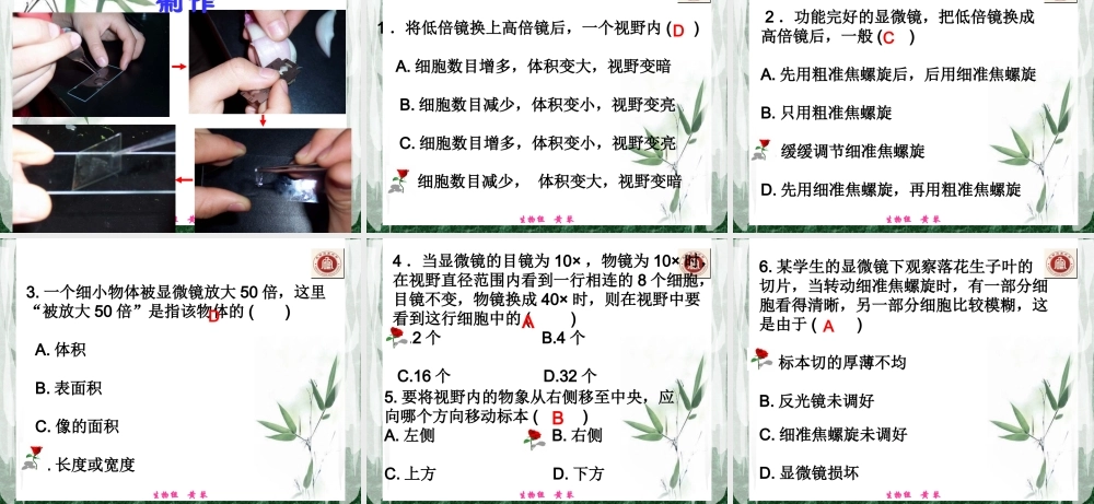 生物-课件-12-使用高倍显微镜观察几种细胞