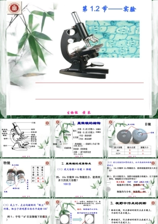 生物-课件-12-使用高倍显微镜观察几种细胞