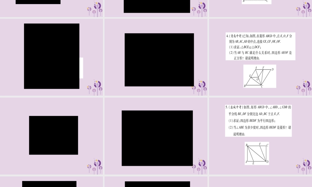 九年级数学上册 第一章 特殊平行四边形 小专题(1)特殊平行四边形的性质与判定作业课件 (新版)北师大版 课件