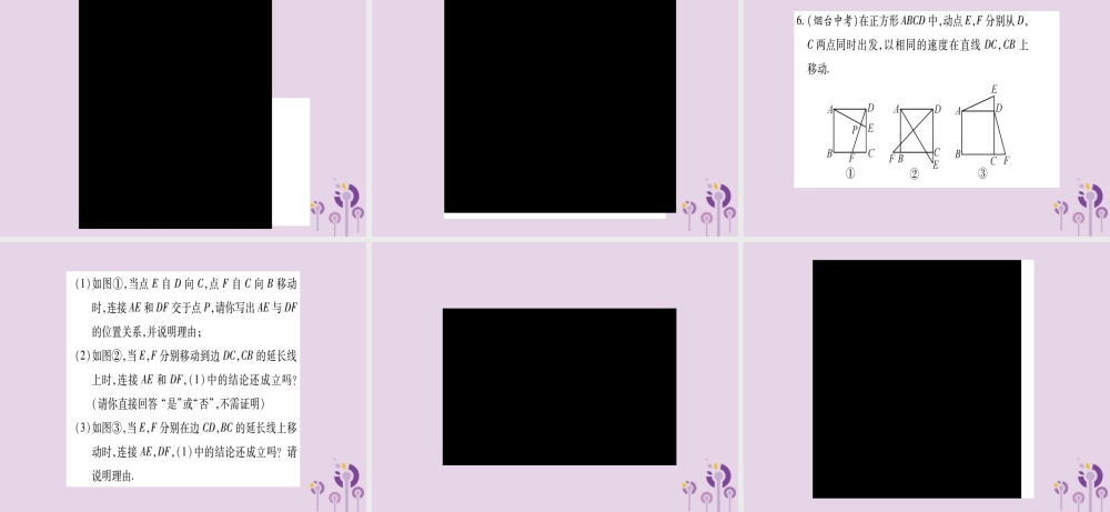 九年级数学上册 第一章 特殊平行四边形 小专题(1)特殊平行四边形的性质与判定作业课件 (新版)北师大版 课件