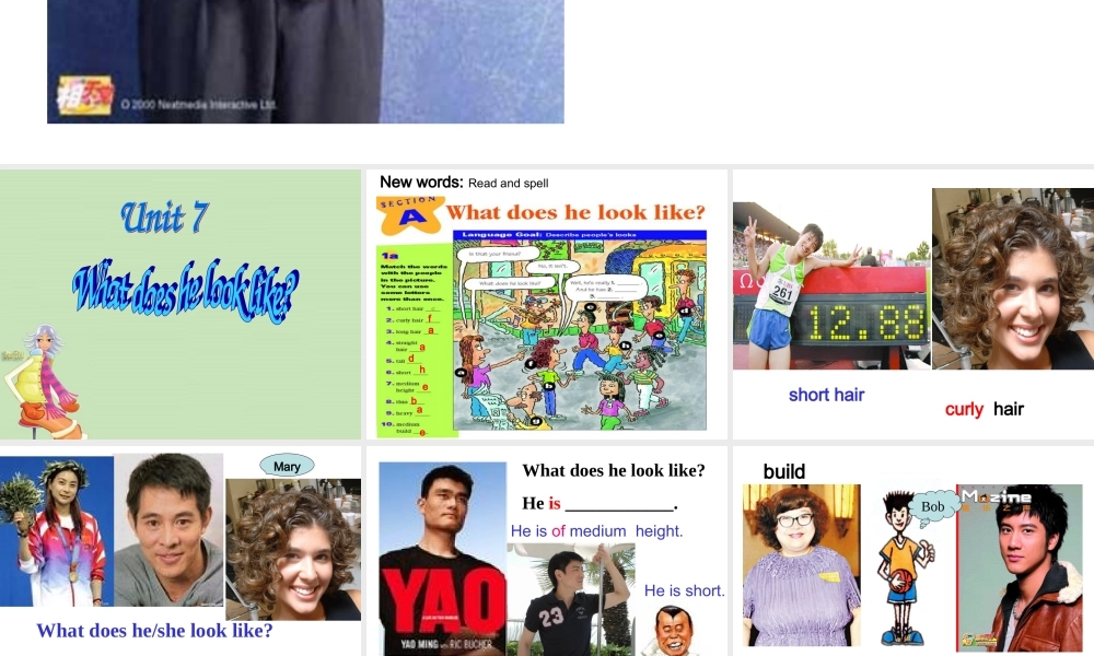 七年级英语下册 unit7 课件人教版新目标 课件