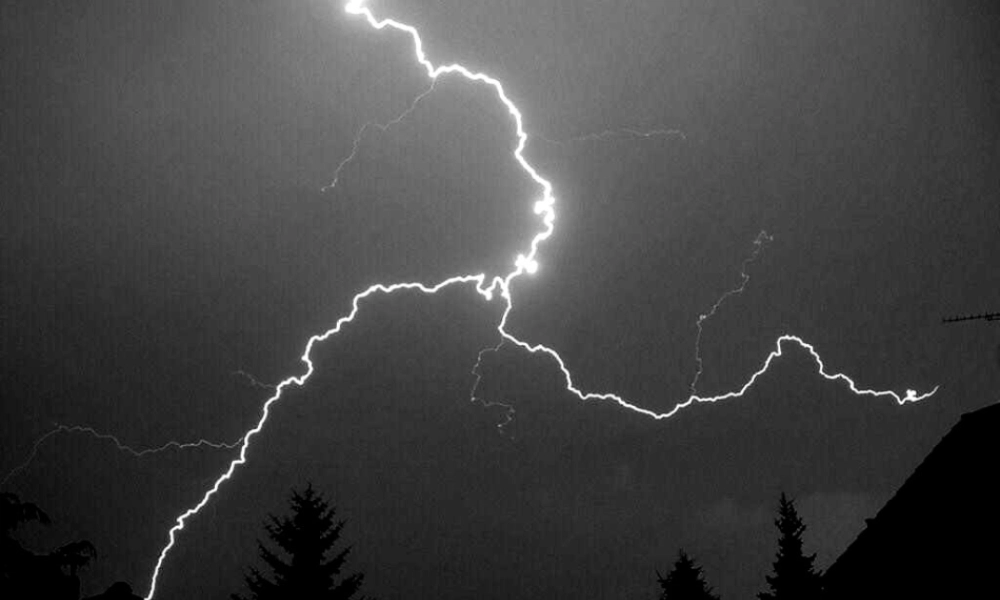 海燕（朗读、象征）