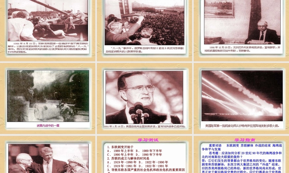 九年级历史第七章-世界格局的新变化课件