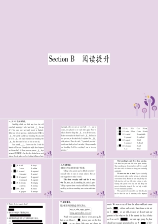 九年级英语全册 Unit 7 Teenagers should be allowed to choose their own clothes Section B作业课件 (新版)人教新目标版 课件