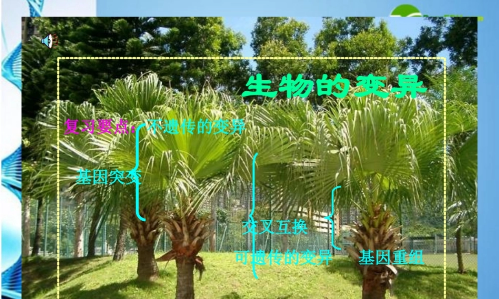 八年级生物下册 生物的变异课件 苏科版 课件