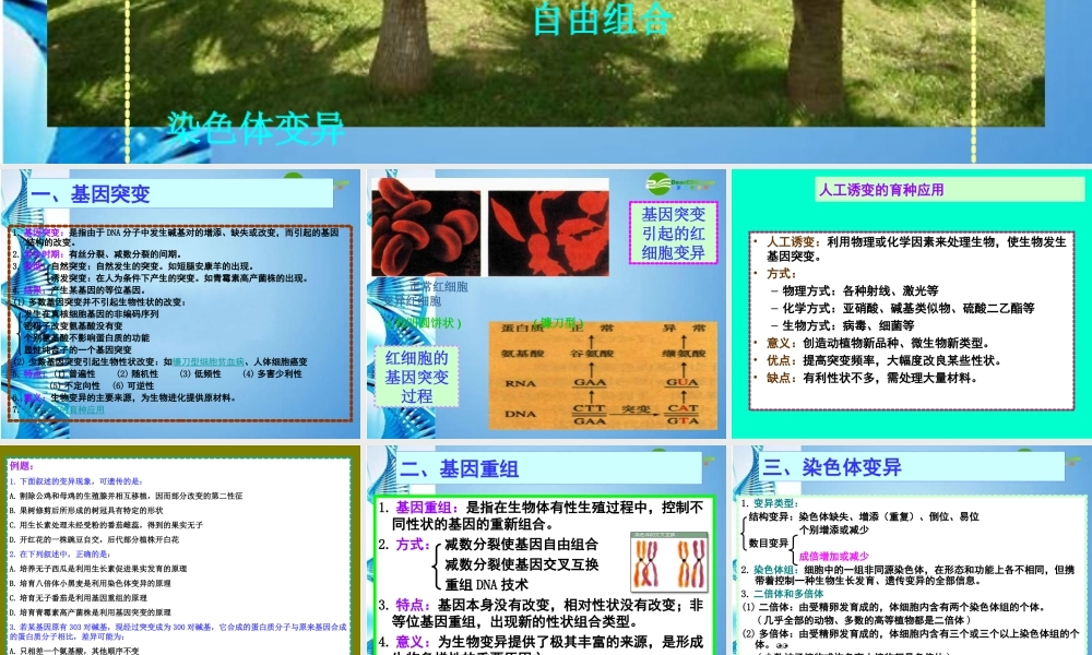 八年级生物下册 生物的变异课件 苏科版 课件
