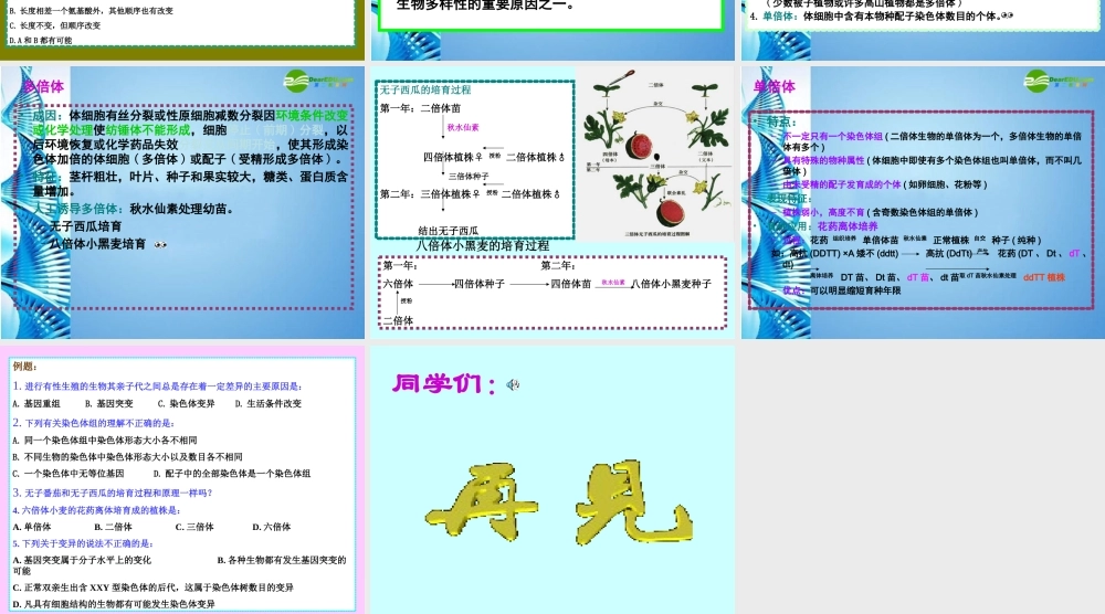 八年级生物下册 生物的变异课件 苏科版 课件