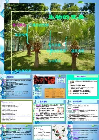 八年级生物下册 生物的变异课件 苏科版 课件