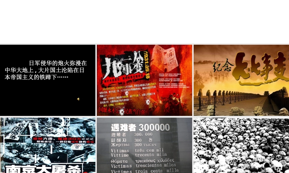 九年级语文下册 (我用残损的手掌)课件 人教新课标版 课件