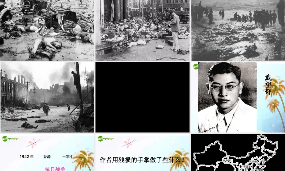 九年级语文下册 (我用残损的手掌)课件 人教新课标版 课件
