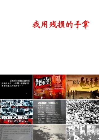 九年级语文下册 (我用残损的手掌)课件 人教新课标版 课件