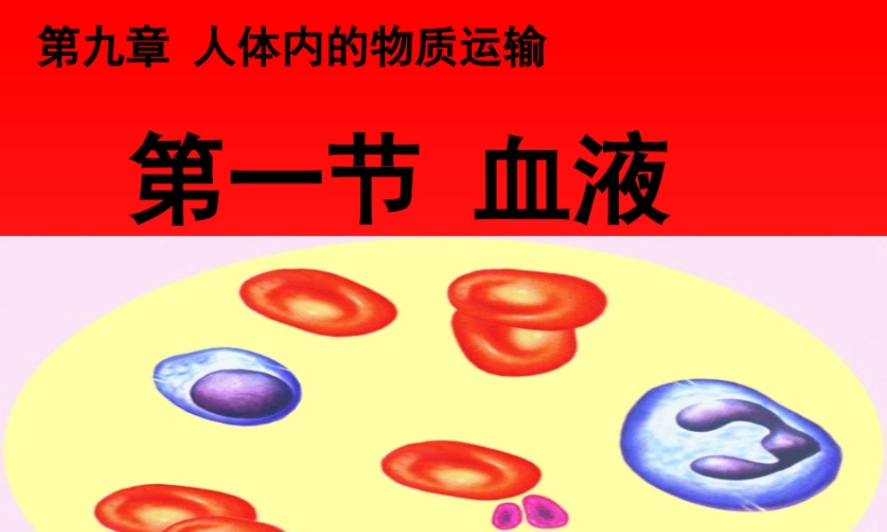 《血液》课件4