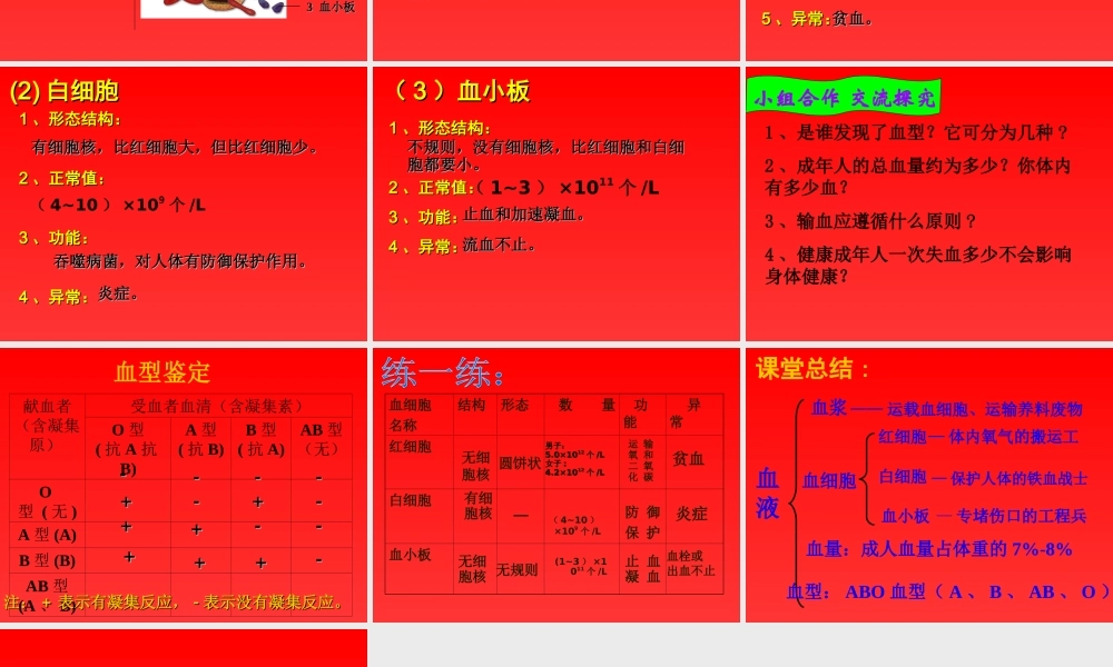 《血液》课件4