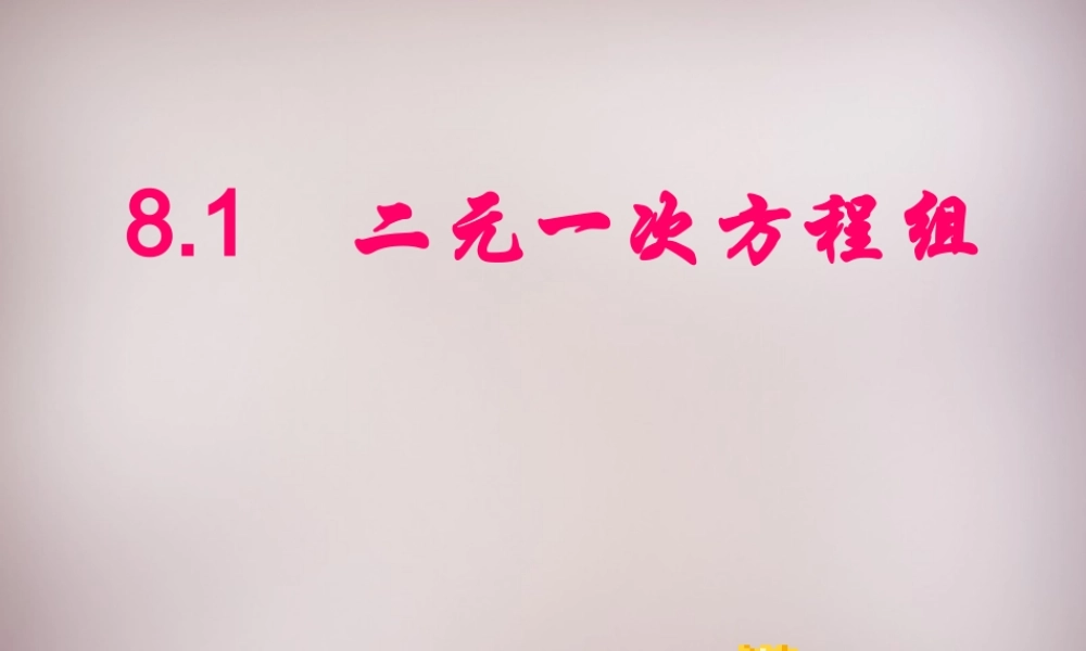 广东省惠州市惠东县宝口中学七年级数学下册 8.1 二元一次方程组课件 (新版)新人教版