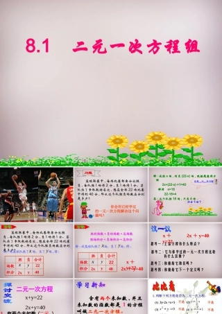 广东省惠州市惠东县宝口中学七年级数学下册 8.1 二元一次方程组课件 (新版)新人教版