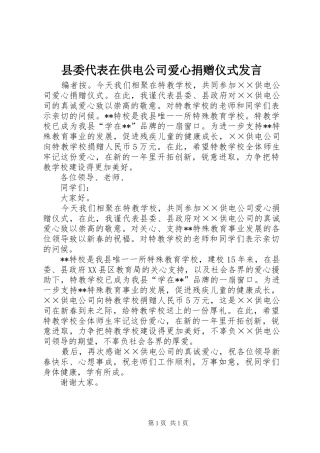 县委代表在供电公司爱心捐赠仪式发言