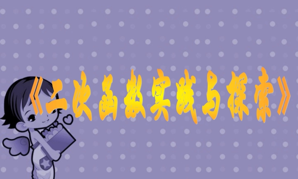 二次函数的实践与探索 2006年广东省初中数学说课课件(含ppt,flash)