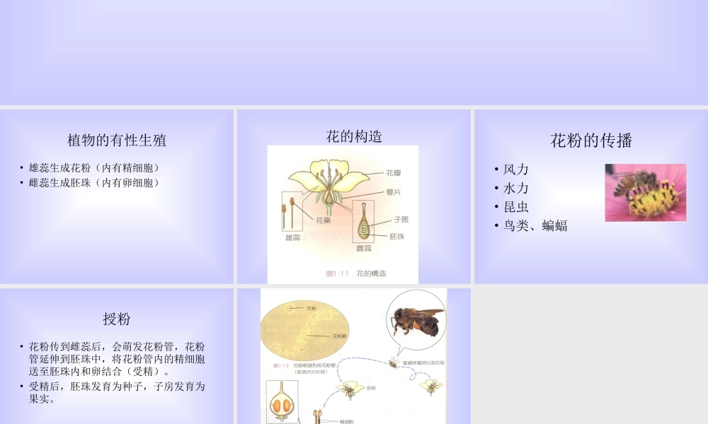 八年级生物新课标人教版植物的有性生殖ppt1 课件