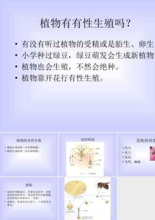 八年级生物新课标人教版植物的有性生殖ppt1 课件