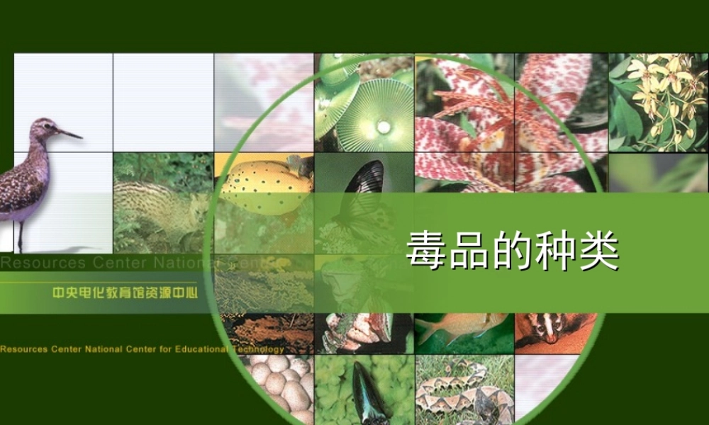 八年级生物新人教版选择健康的生活方式1ppt 课件