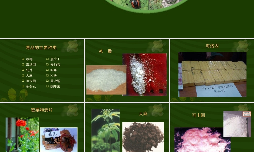 八年级生物新人教版选择健康的生活方式1ppt 课件