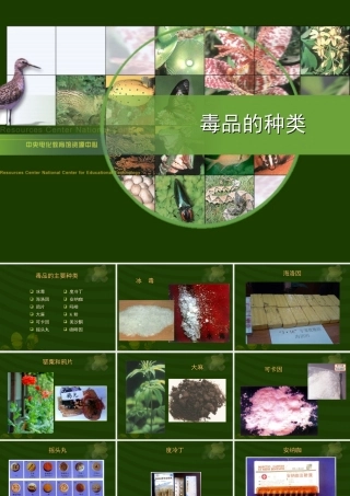 八年级生物新人教版选择健康的生活方式1ppt 课件