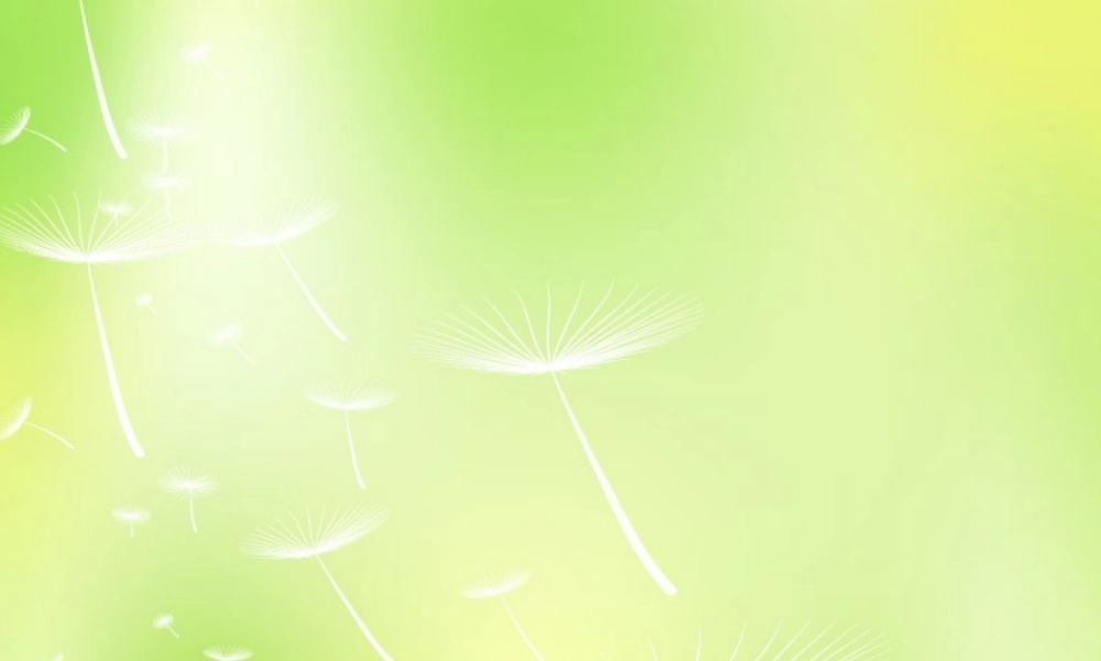八年级语文上册 23(核舟记)课件 新人教版 课件
