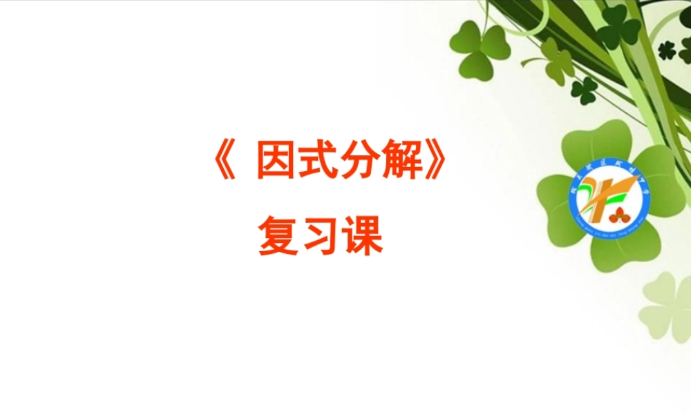 中考复习因式分解