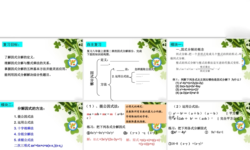 中考复习因式分解